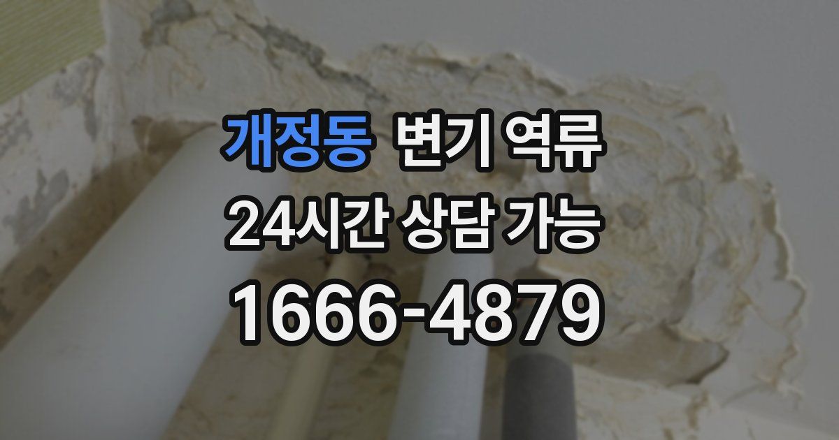 개정동 변기 역류