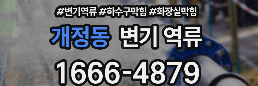 개정동 변기 역류