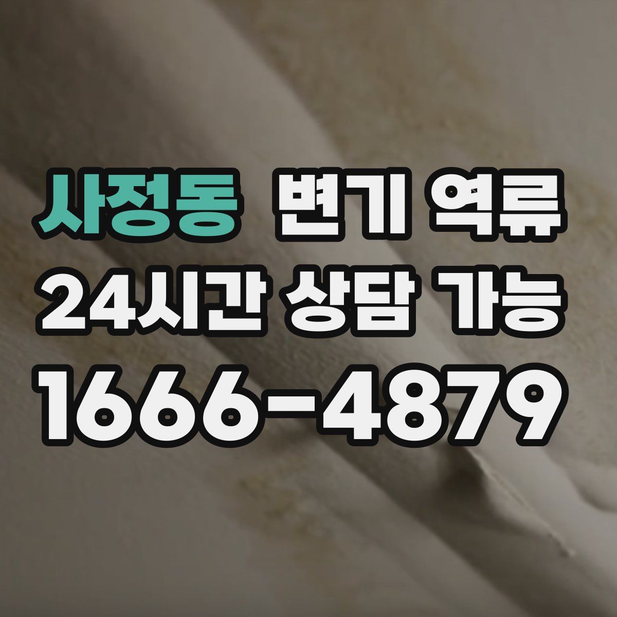 사정동 변기 역류