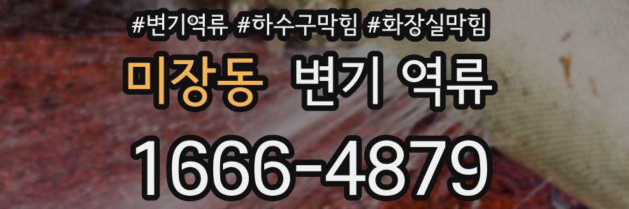 미장동 변기 역류