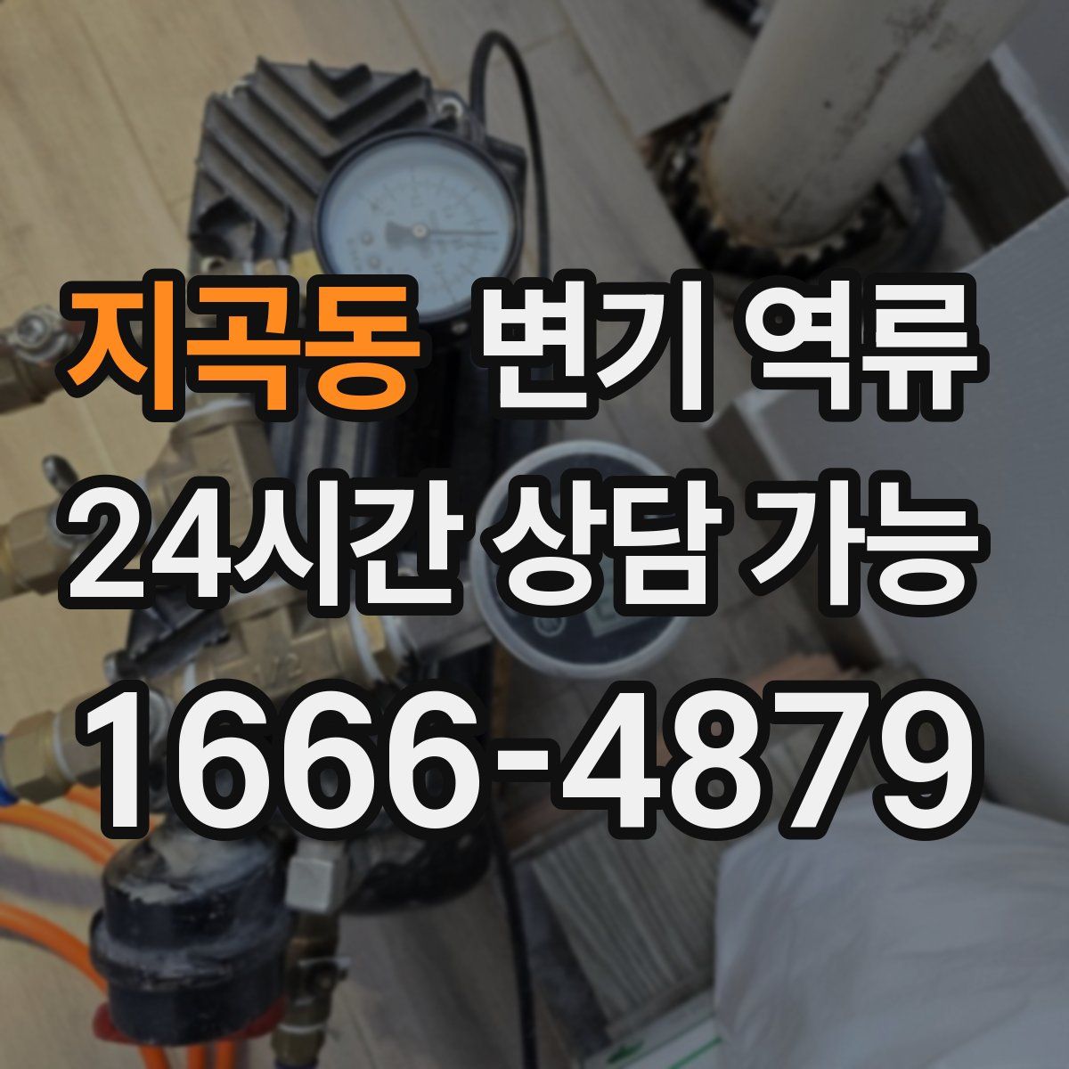 지곡동 변기 역류