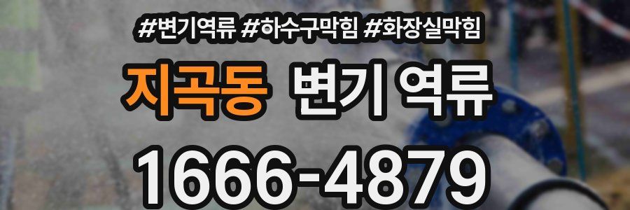 지곡동 변기 역류