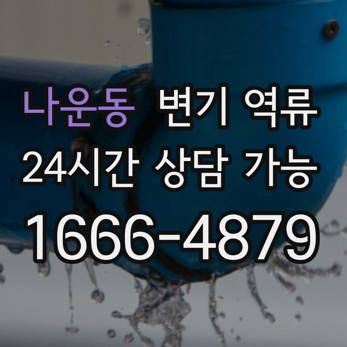 나운동 변기 역류