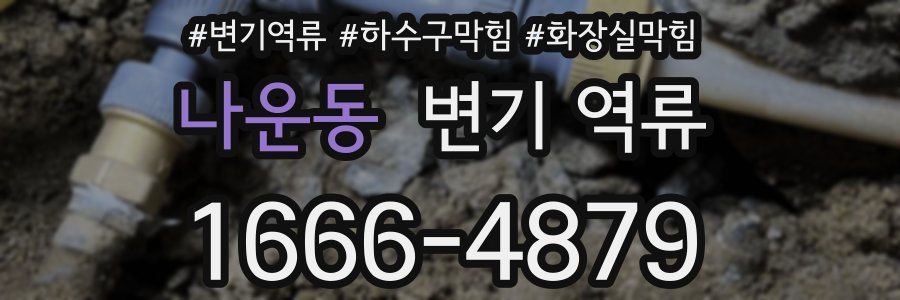 나운동 변기 역류