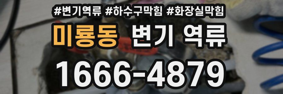 미룡동 변기 역류