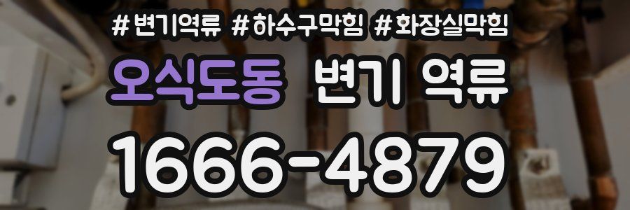 오식도동 변기 역류