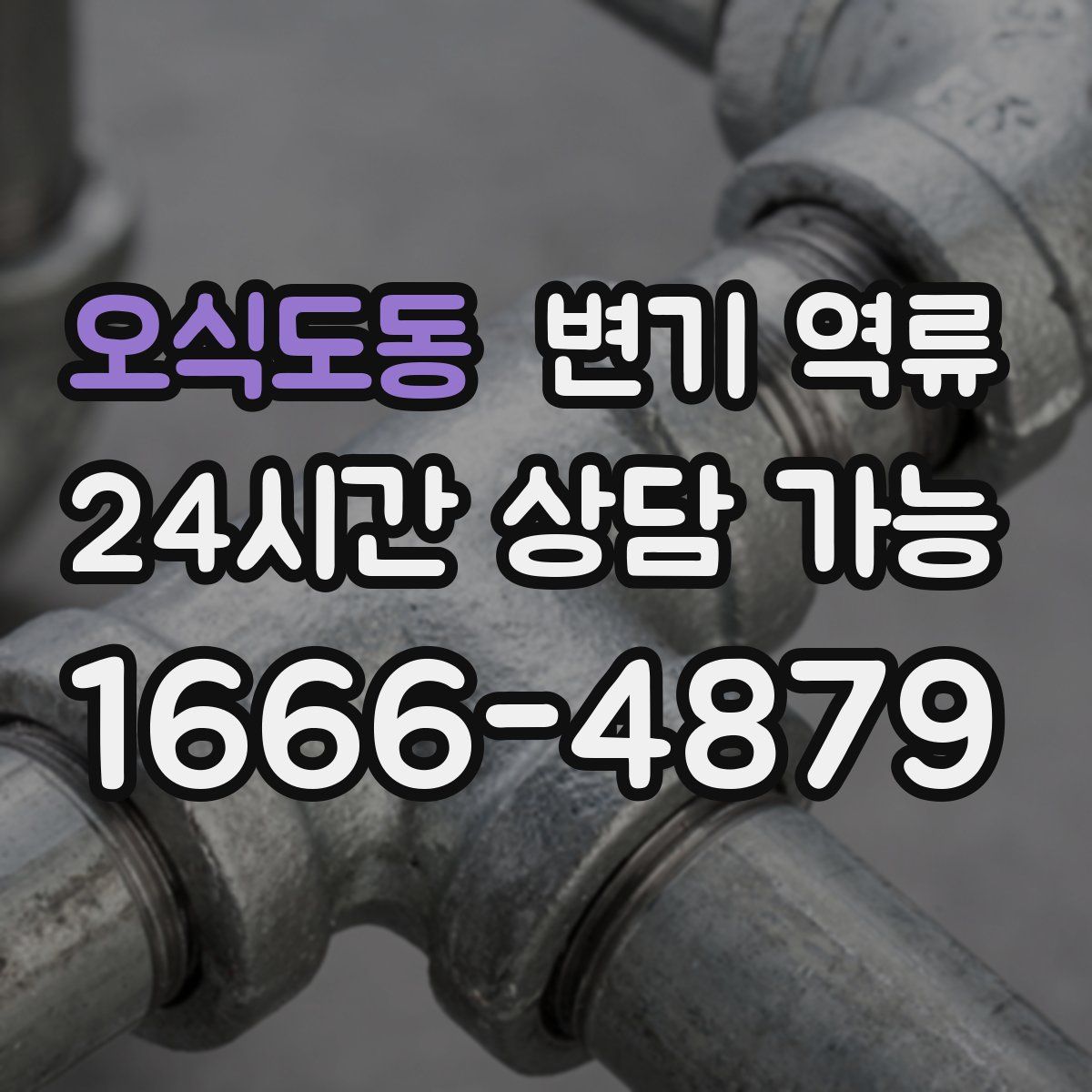 오식도동 변기 역류