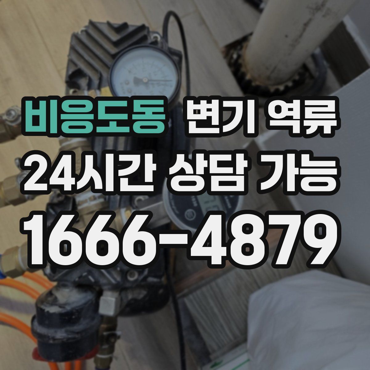 비응도동 변기 역류