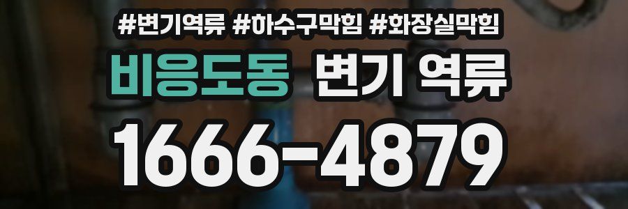 비응도동 변기 역류