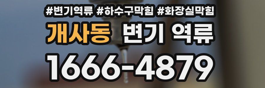 개사동 변기 역류