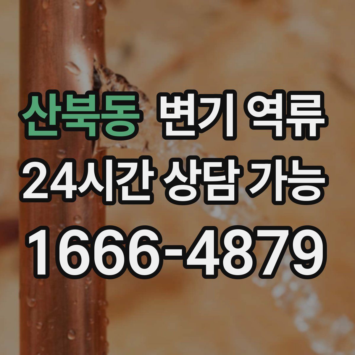 산북동 변기 역류