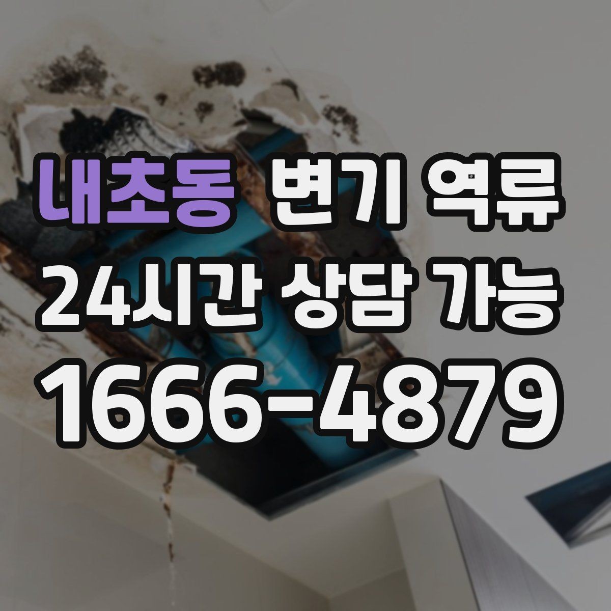 내초동 변기 역류 아래층 민원 전에 미리 해야 할 기록
