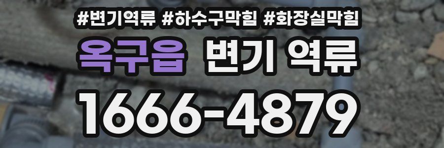 옥구읍 변기 역류