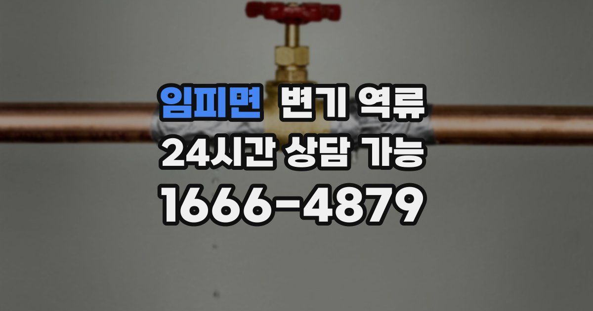 임피면 변기 역류