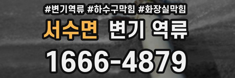 서수면 변기 역류