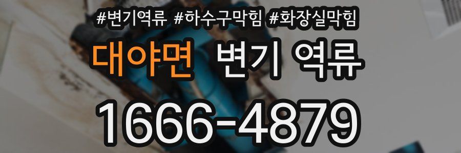 대야면 변기 역류