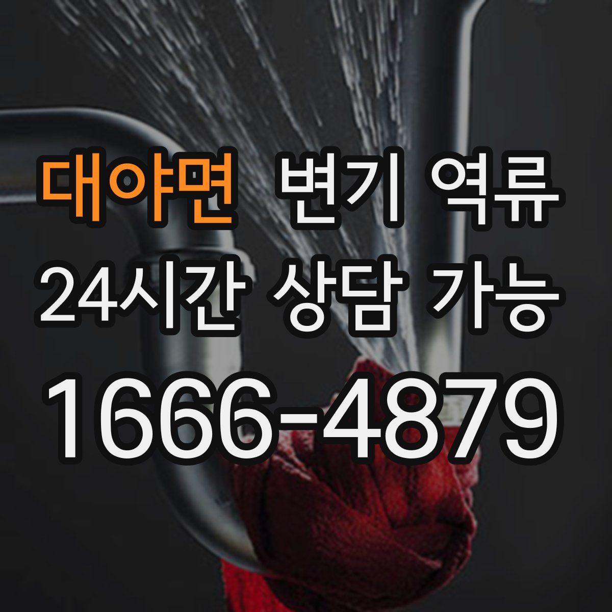 대야면 변기 역류