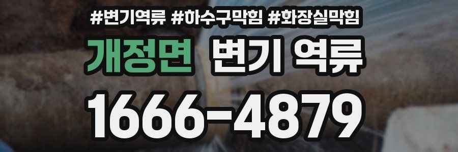 개정면 변기 역류