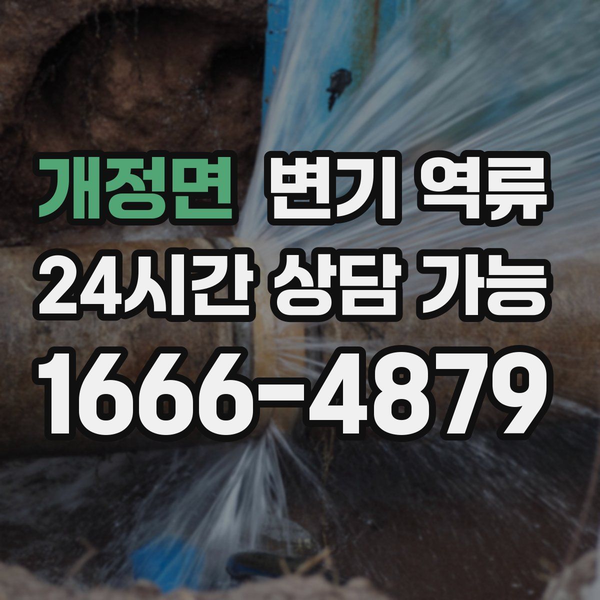 개정면 변기 역류