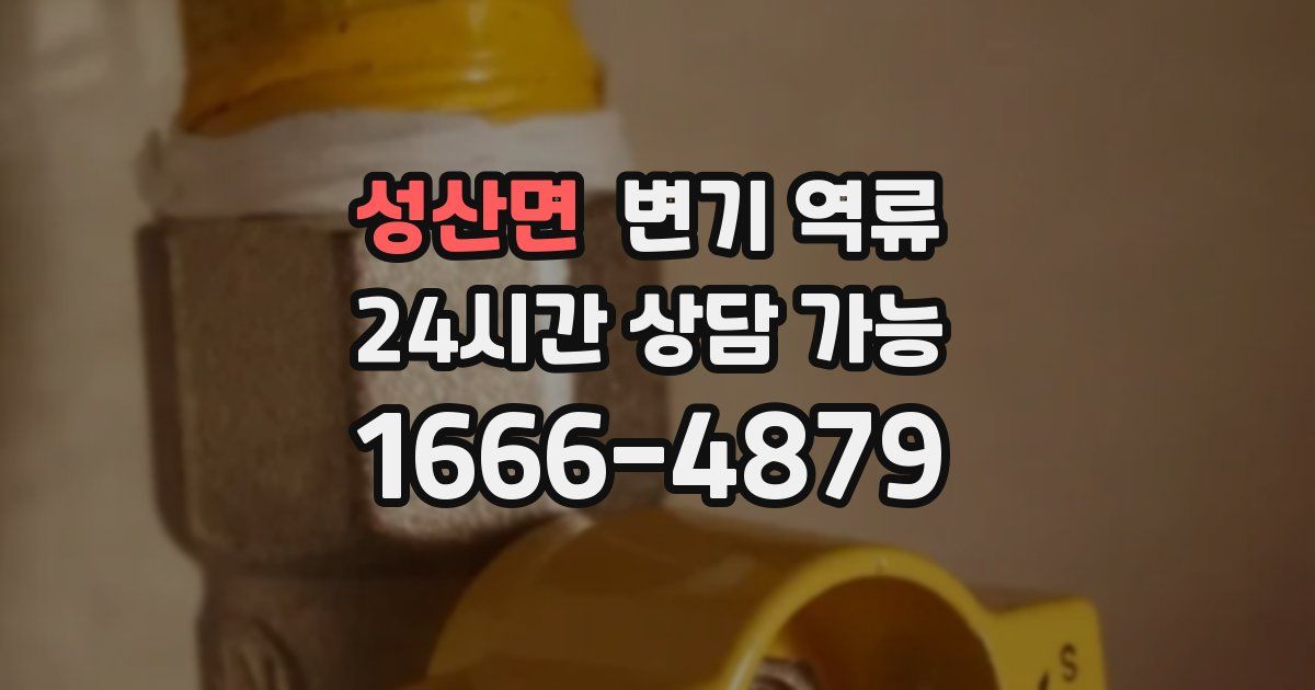 성산면 변기 역류