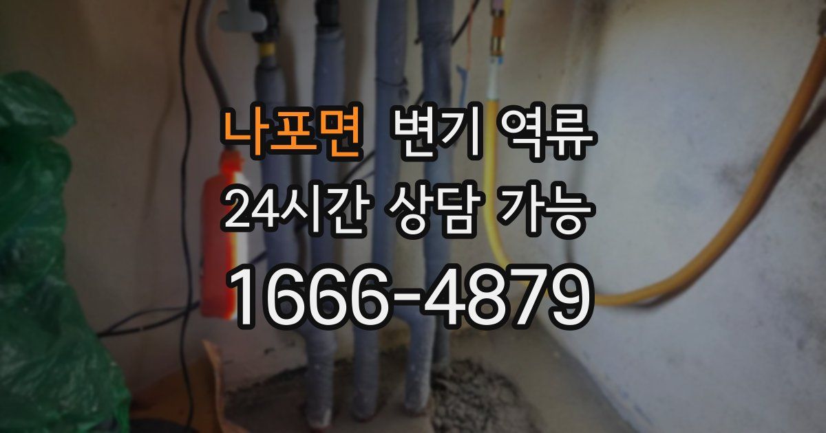 나포면 변기 역류