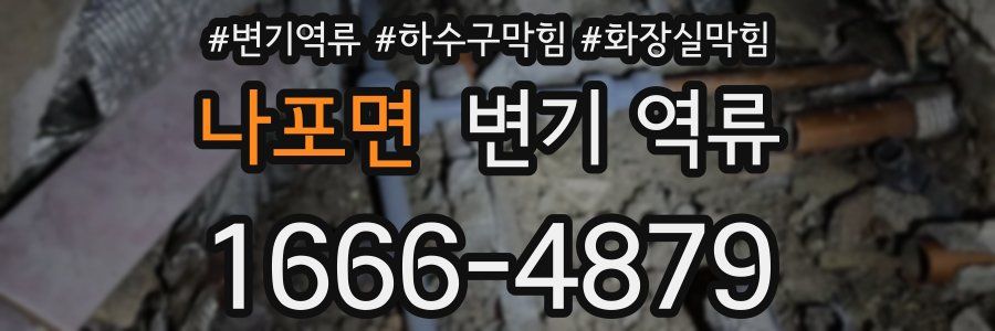 나포면 변기 역류