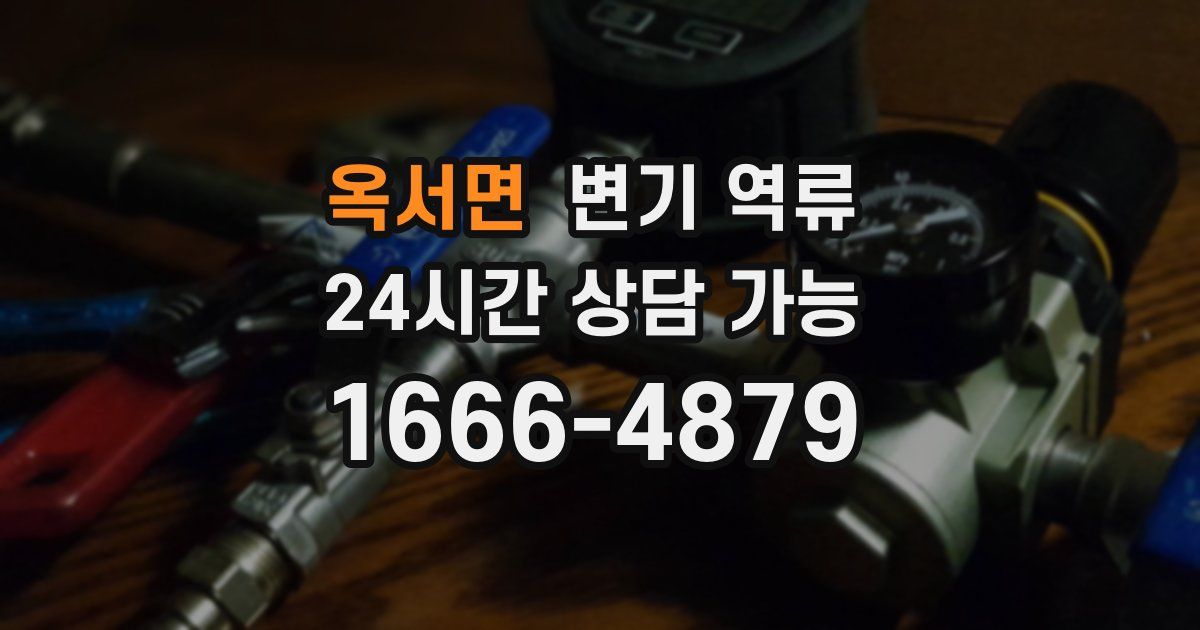 옥서면 변기 역류