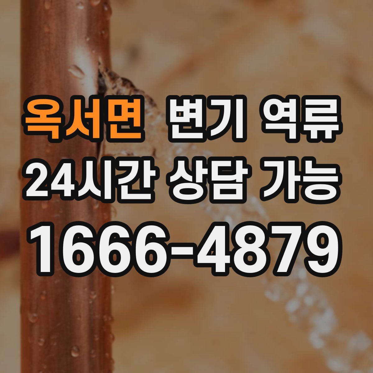 옥서면 변기 역류