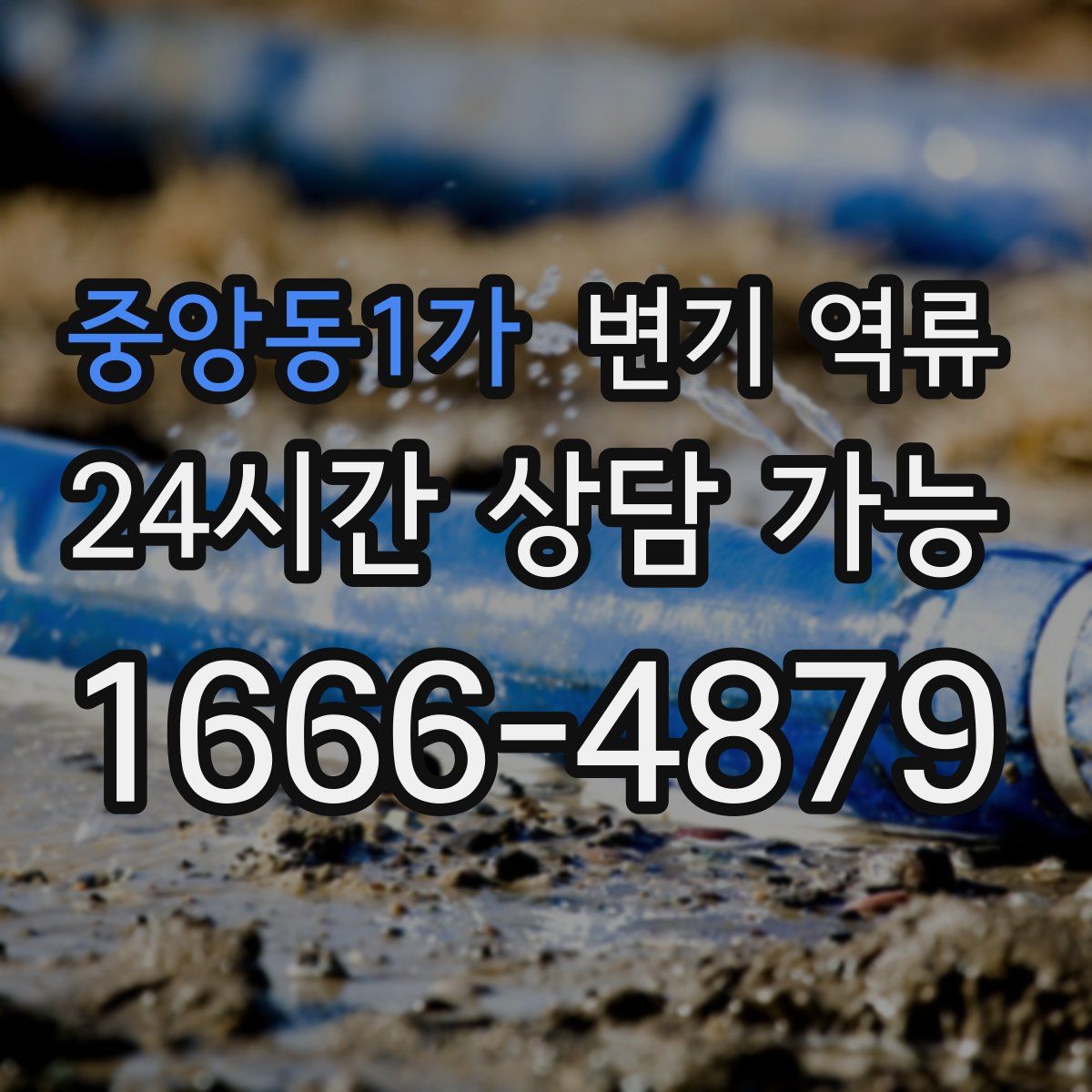 중앙동1가 변기 역류