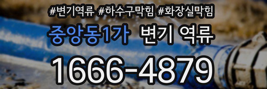 중앙동1가 변기 역류