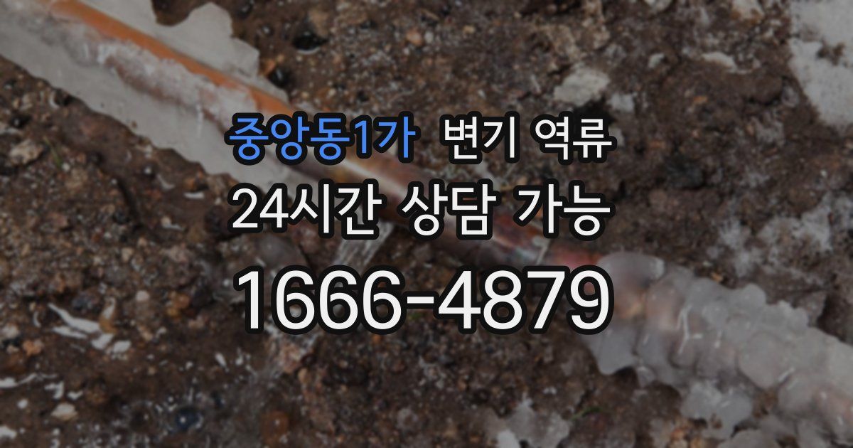 중앙동1가 변기 역류