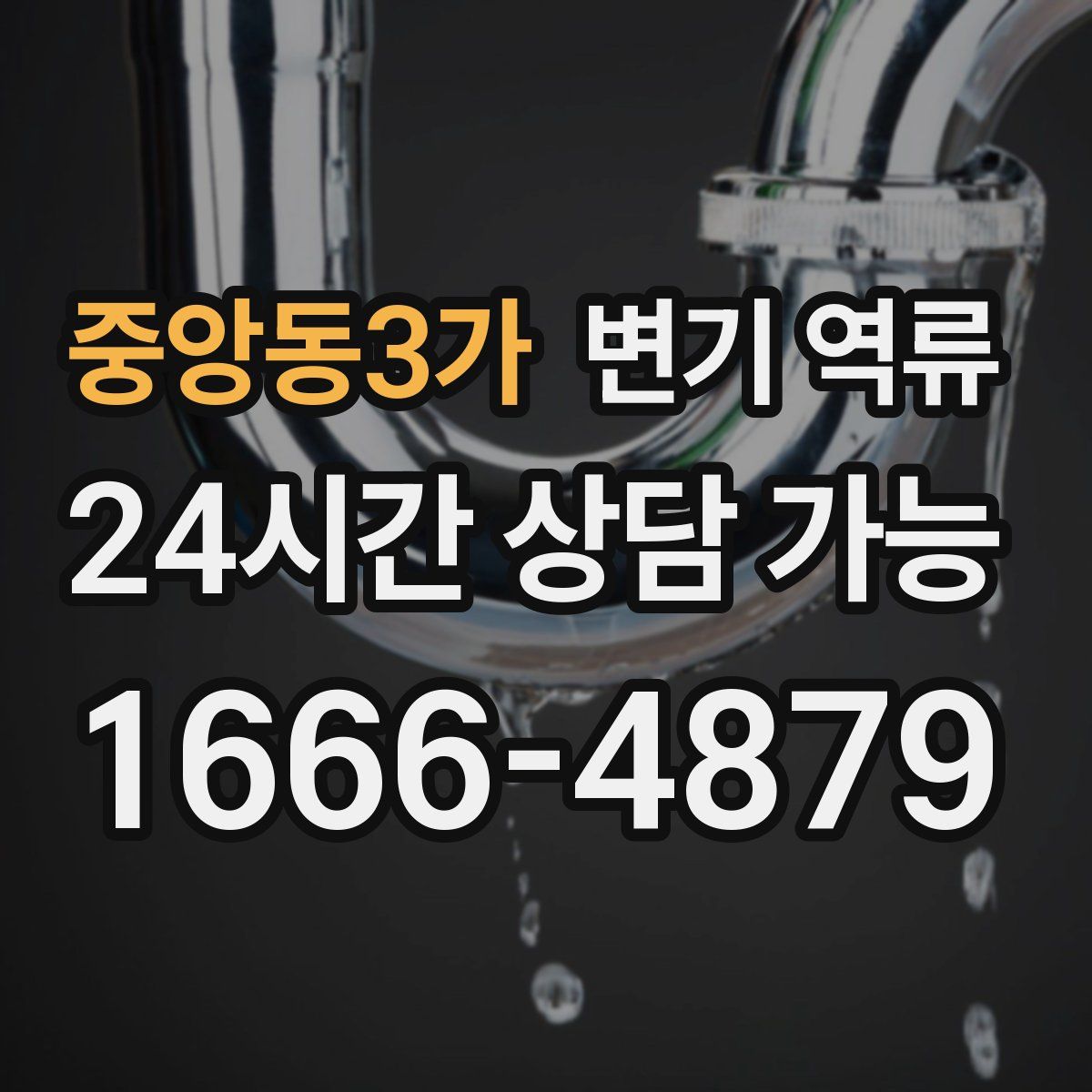 중앙동3가 변기 역류