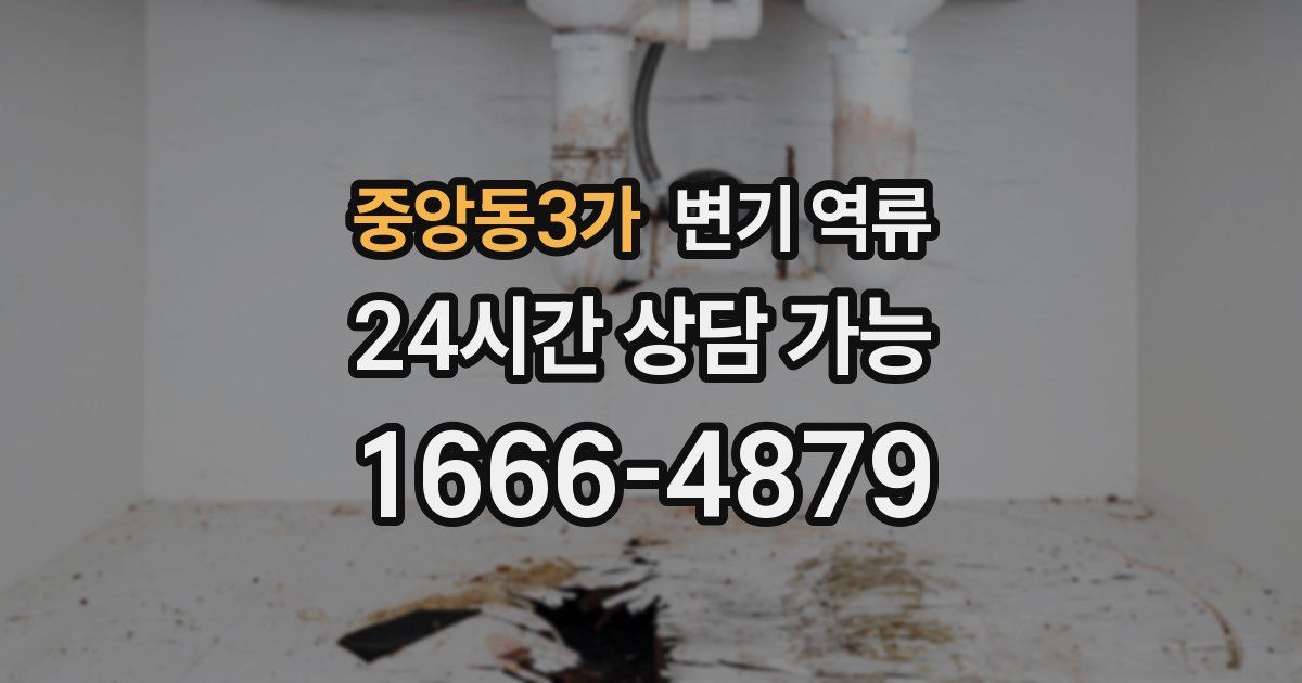 중앙동3가 변기 역류