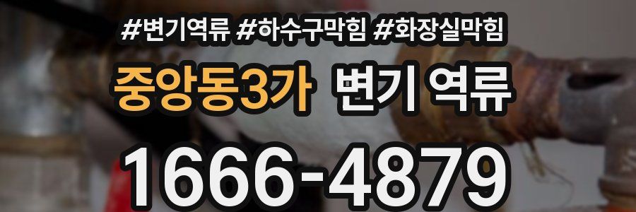 중앙동3가 변기 역류