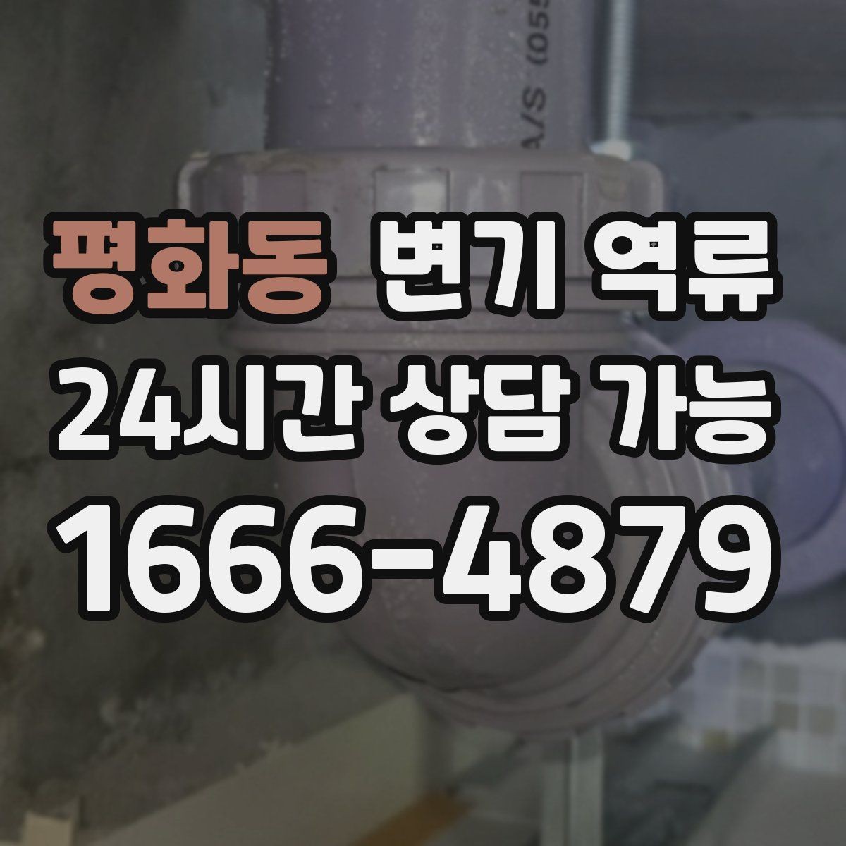 평화동 변기 역류 예방을 위한 욕실 관리 습관 체크