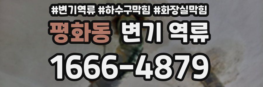 평화동 변기 역류