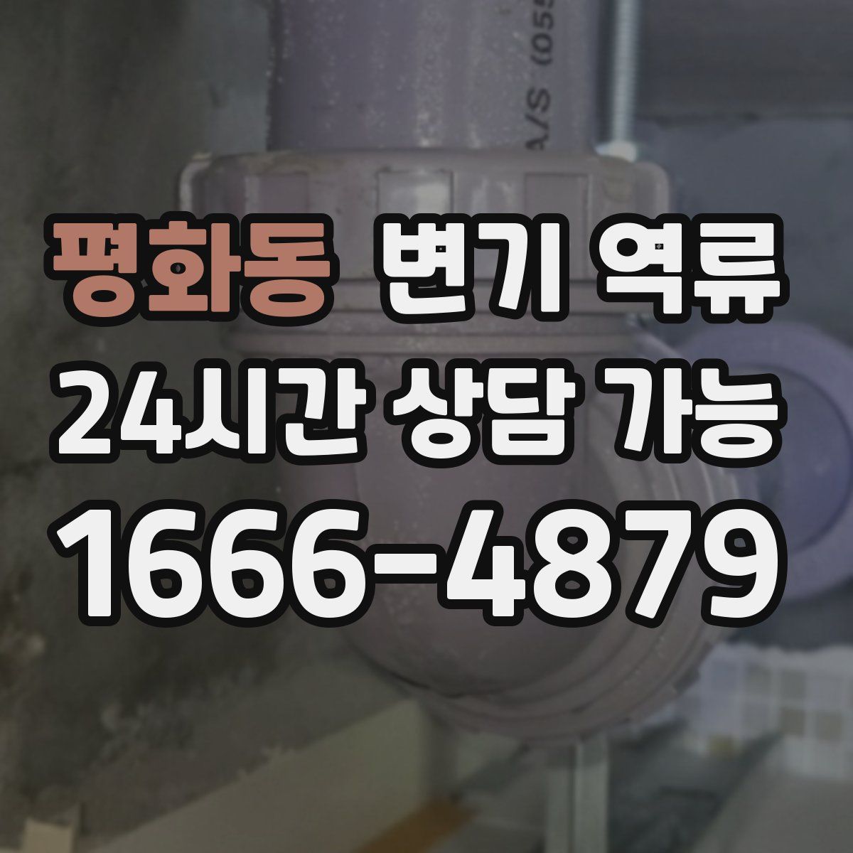 평화동 변기 역류