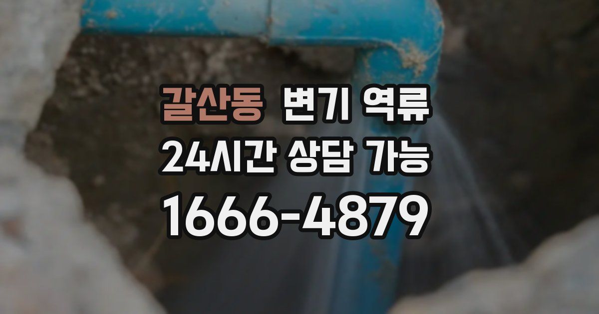 갈산동 변기 역류