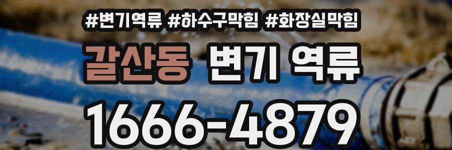 갈산동 변기 역류