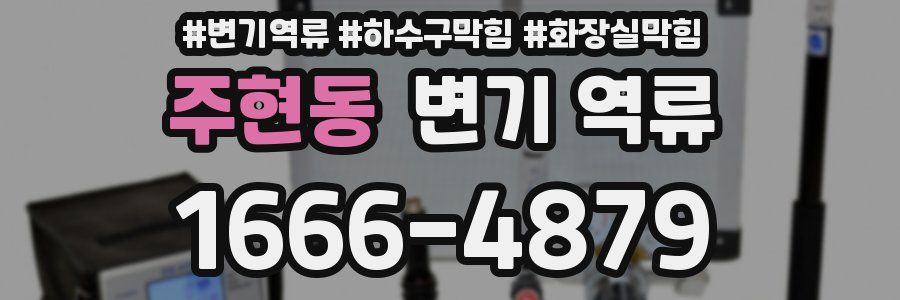 주현동 변기 역류