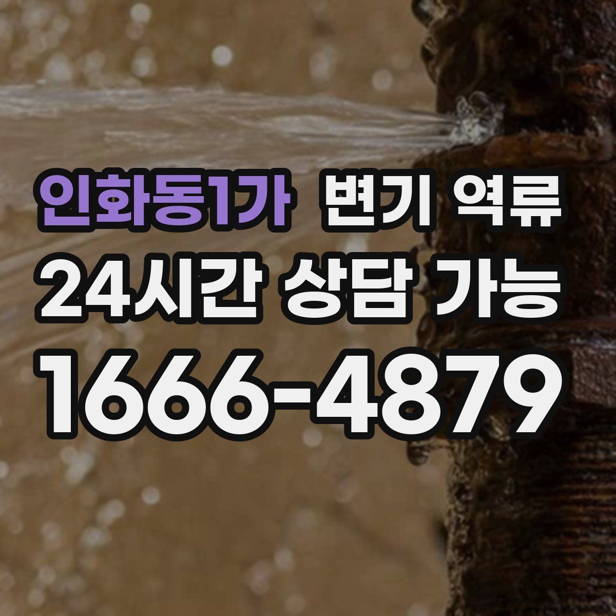 인화동1가 변기 역류