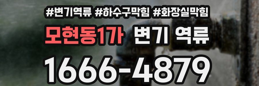 모현동1가 변기 역류