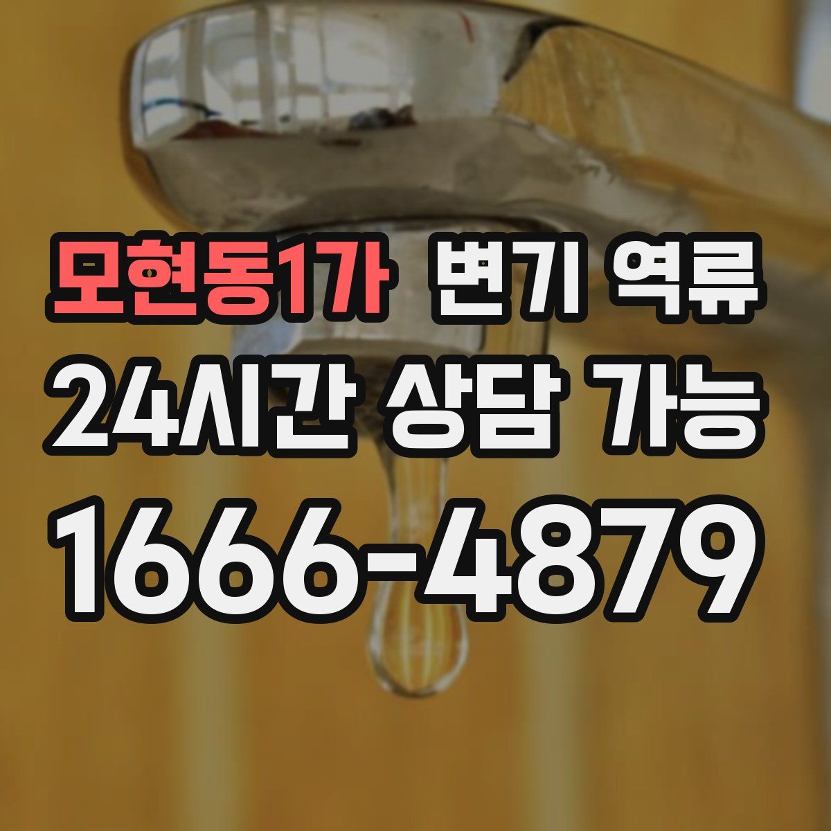 모현동1가 변기 역류