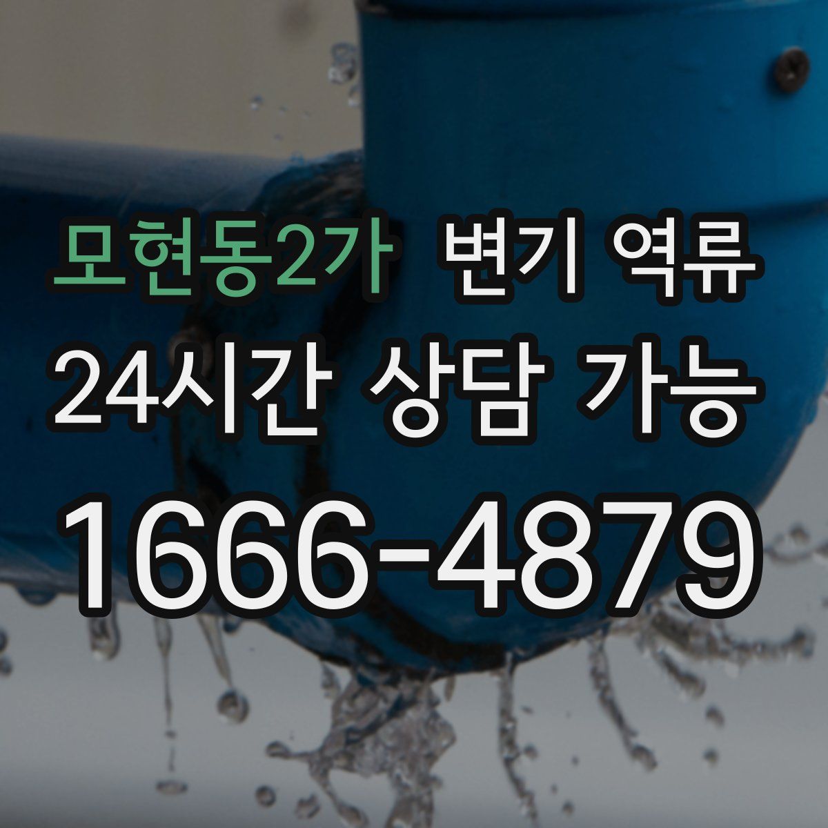 모현동2가 변기 역류