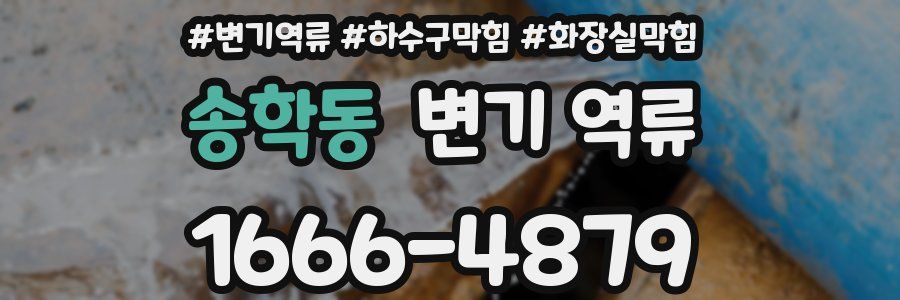 송학동 변기 역류