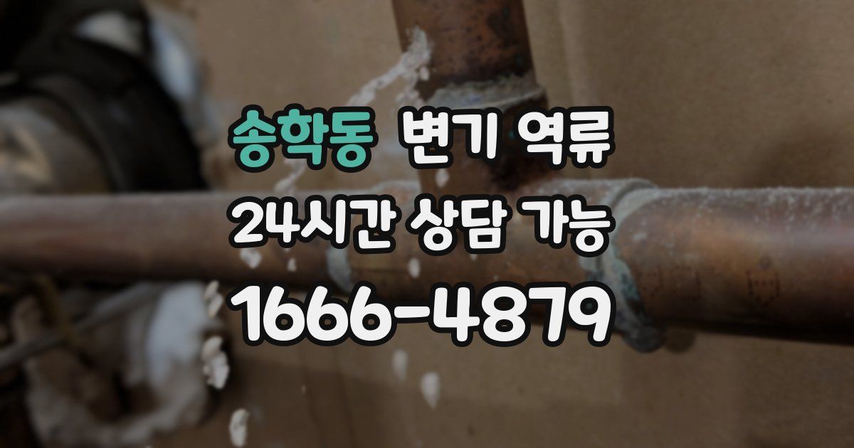 송학동 변기 역류