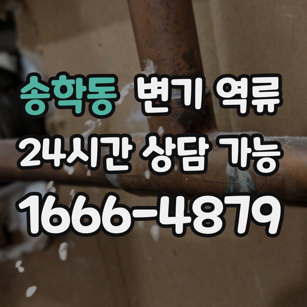 송학동 변기 역류