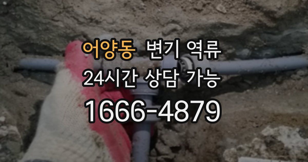 어양동 변기 역류