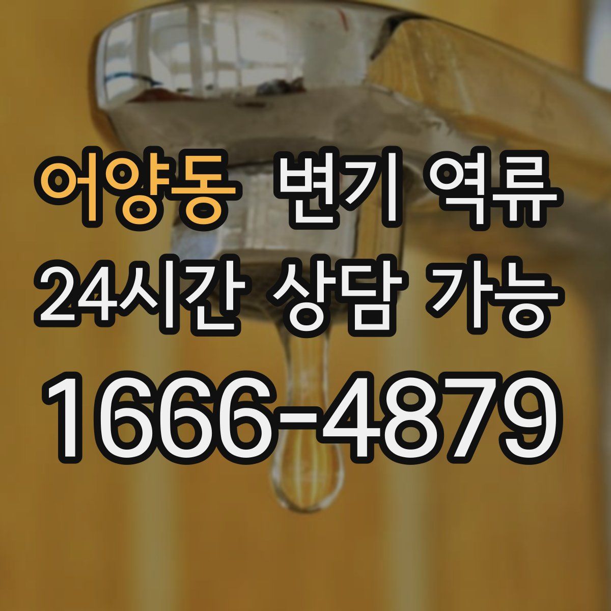 어양동 변기 역류