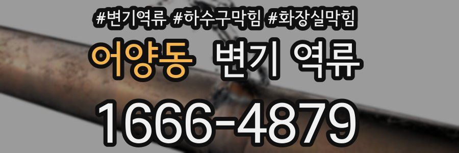 어양동 변기 역류